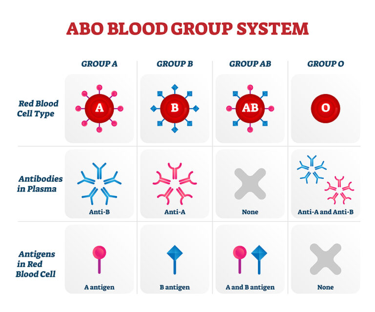 blood-type-has-some-bearing-on-the-severity-of-covid-19-coronavirus