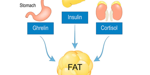 Metabolism Can Vary in People